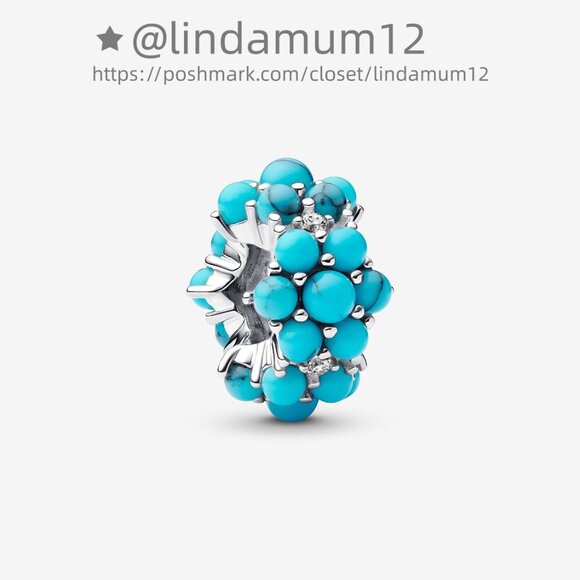 Pandora Turquoise-coloured Ocean Charm - Picture 1 of 5